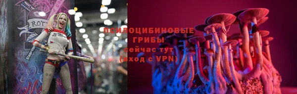 круглые Ельня