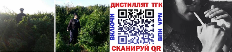 ТГК концентрат Зима