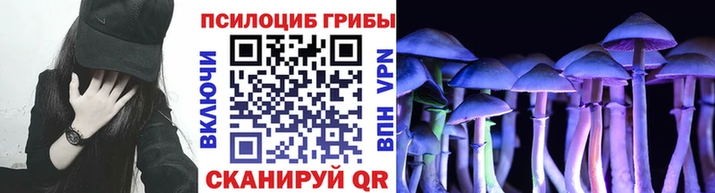 Псилоцибиновые грибы мухоморы  Зима 