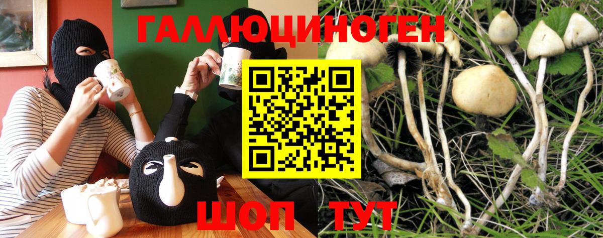 Псилоцибиновые грибы MAGIC MUSHROOMS  Вход с VPN  Зима  Галлюциногенные грибы Magic Shrooms 